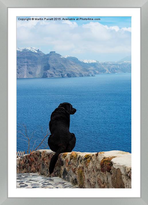 Santorini Dog Framed Mounted Print by Martin Parratt