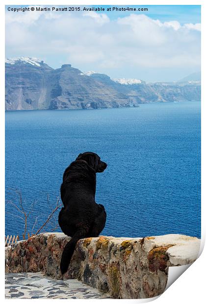 Santorini Dog Print by Martin Parratt