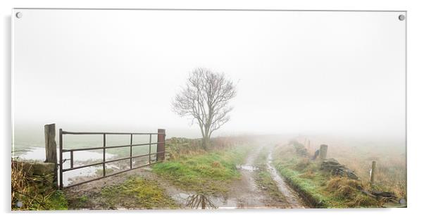 Thick fog on a country lane. Acrylic by chris smith