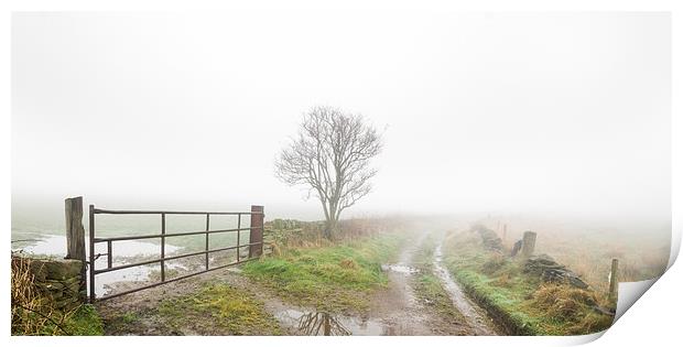 Thick fog on a country lane. Print by chris smith