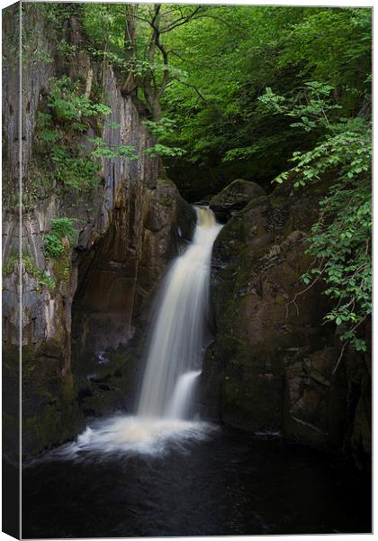 Waterfall. Canvas Print by chris smith