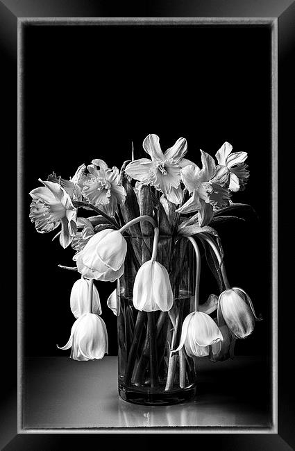  Wilting flowers fine art Framed Print by Stephen Giles