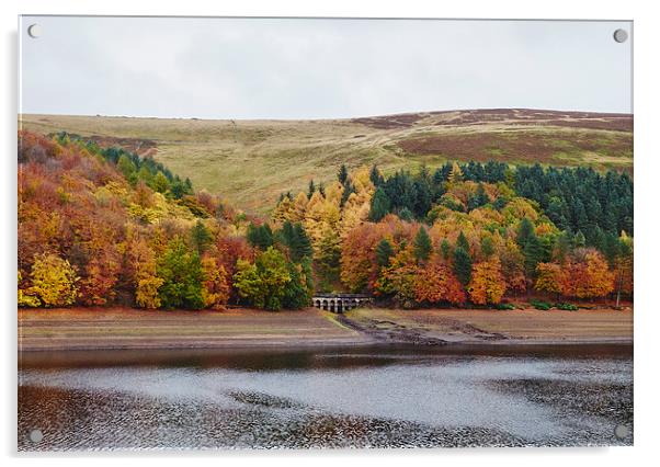 Autumnal trees at Derwent Reservoir. Derbyshire, U Acrylic by Liam Grant