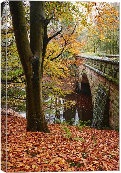 Stone bridge and autumnal woodland. Derbyshire, UK Canvas Print by Liam Grant