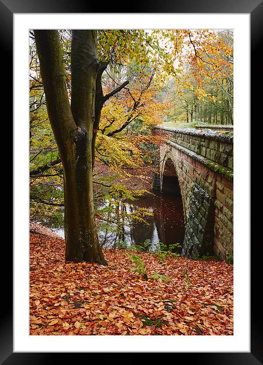 Stone bridge and autumnal woodland. Derbyshire, UK Framed Mounted Print by Liam Grant