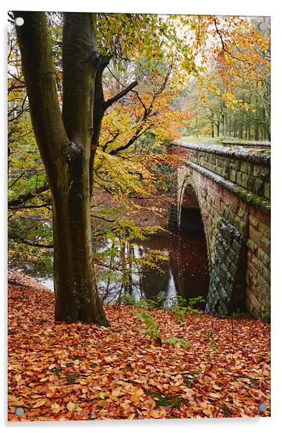 Stone bridge and autumnal woodland. Derbyshire, UK Acrylic by Liam Grant