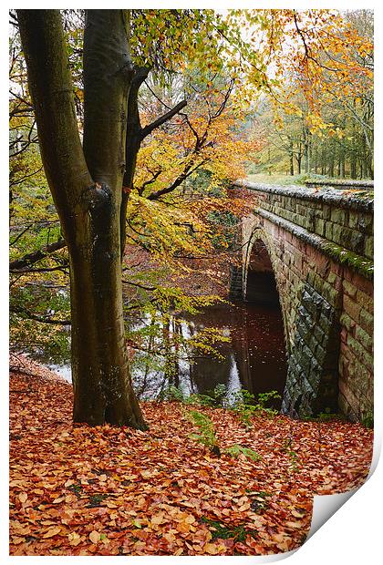 Stone bridge and autumnal woodland. Derbyshire, UK Print by Liam Grant