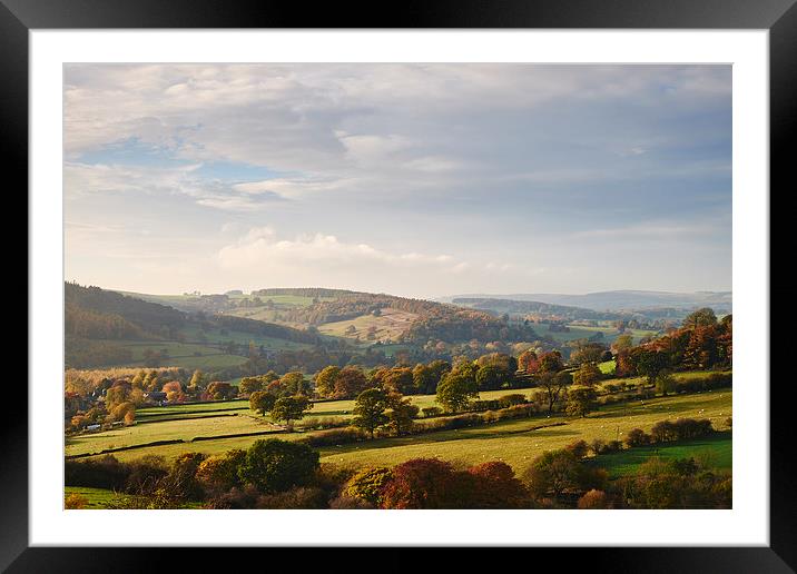 Sunset over trees in the valley. Derbyshire, UK. Framed Mounted Print by Liam Grant