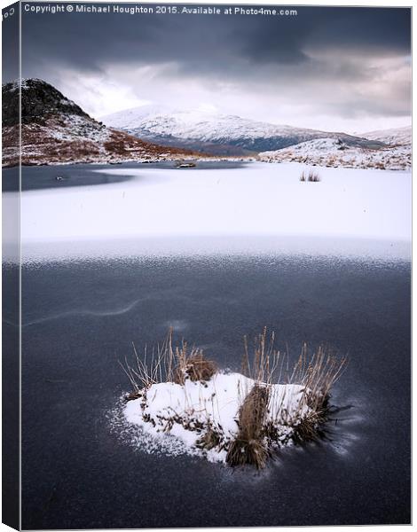 Frozen  Canvas Print by Michael Houghton