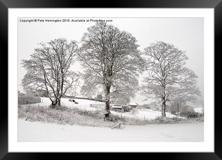 Wintery scene Framed Mounted Print by Pete Hemington