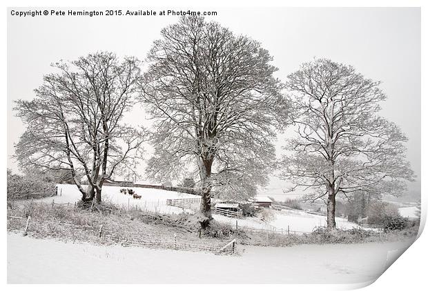  Wintery scene Print by Pete Hemington