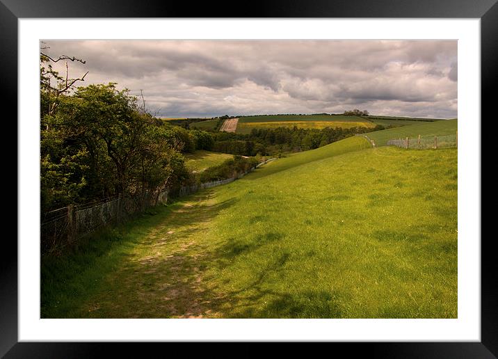  A simple Landscape in Yorkshire Framed Mounted Print by Chris  Anderson