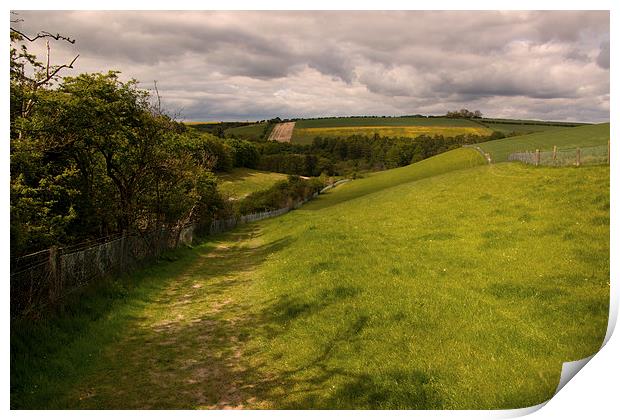  A simple Landscape in Yorkshire Print by Chris  Anderson