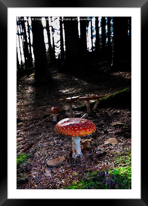  Mushroom Framed Mounted Print by Clive Rees