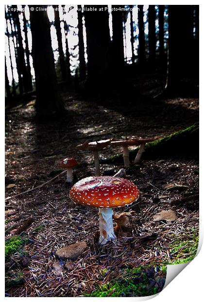  Mushroom Print by Clive Rees