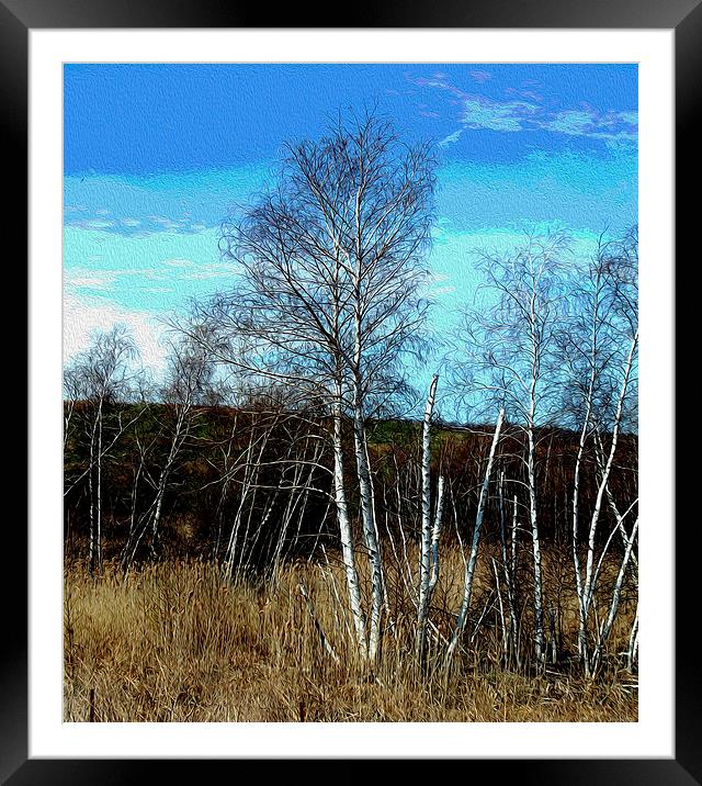 Oil Painted Stand of Birch Trees  Framed Mounted Print by james balzano, jr.