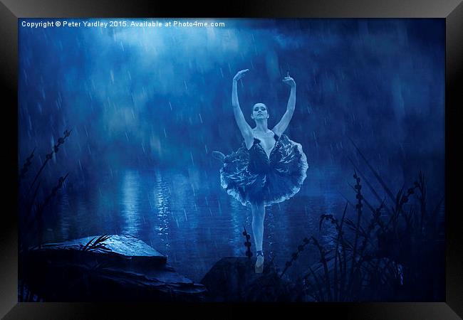  Ballerina in Blue Framed Print by Peter Yardley
