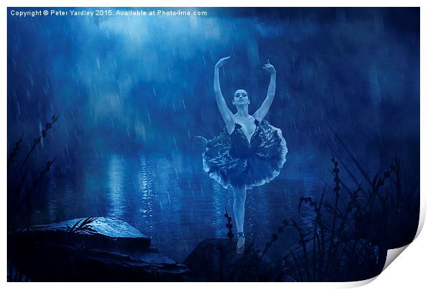  Ballerina in Blue Print by Peter Yardley