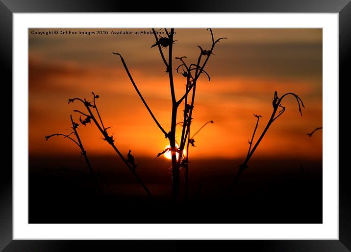  sunset evening Framed Mounted Print by Derrick Fox Lomax