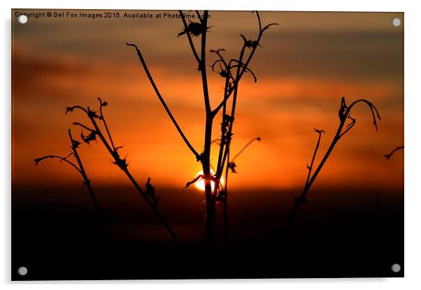  sunset evening Acrylic by Derrick Fox Lomax