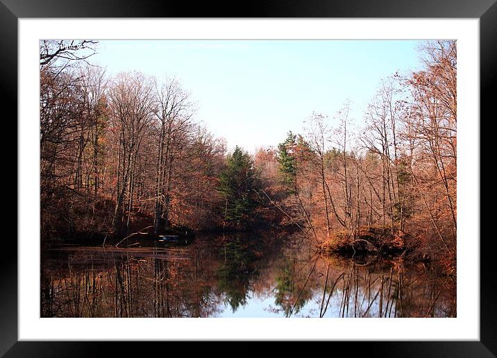  Mill Pond Framed Mounted Print by shawn mcphee I