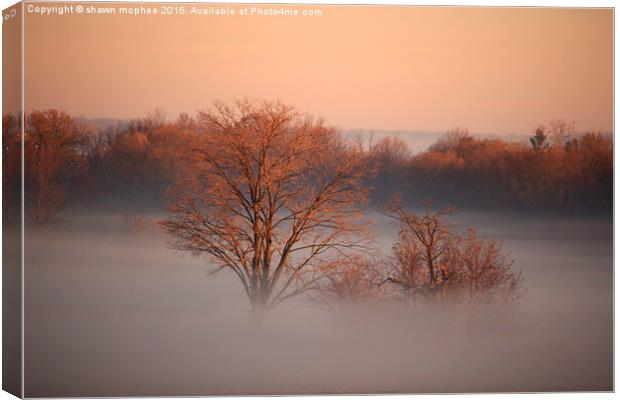  Above the morning fog Canvas Print by shawn mcphee I