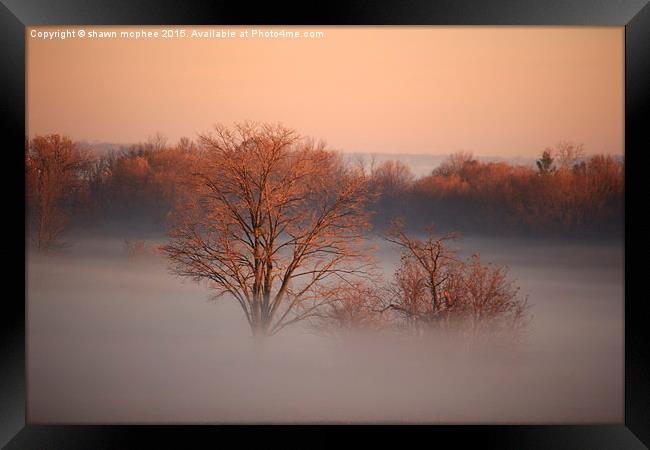  Above the morning fog Framed Print by shawn mcphee I