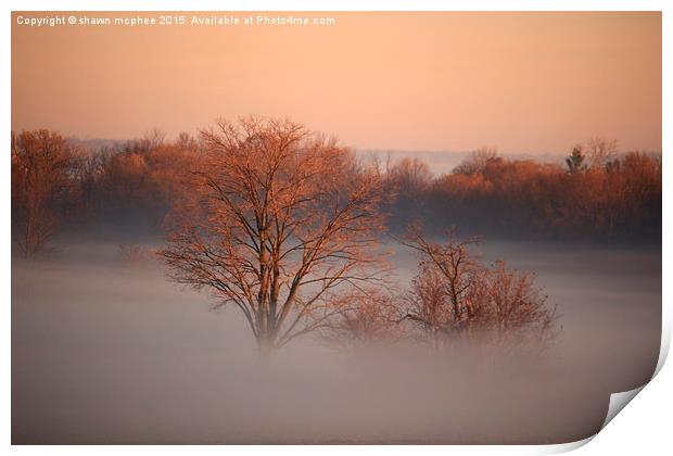  Above the morning fog Print by shawn mcphee I