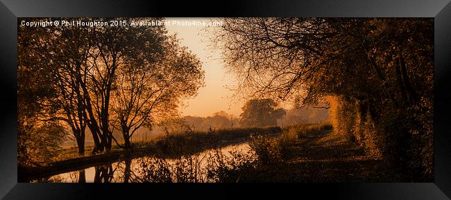  Autumn Gold Framed Print by Phil Houghton