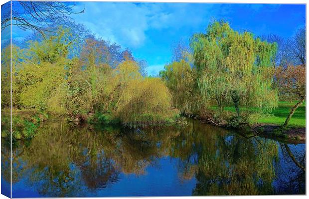  Cassiobury Park Nature Reserve  Canvas Print by Sue Bottomley
