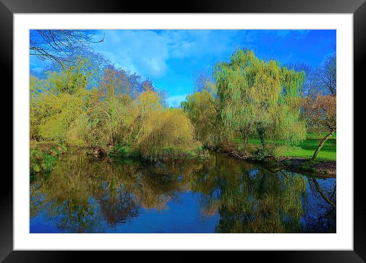  Cassiobury Park Nature Reserve  Framed Mounted Print by Sue Bottomley