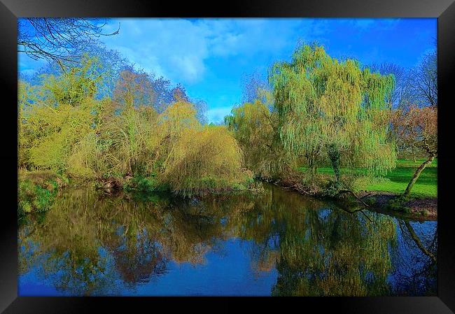  Cassiobury Park Nature Reserve  Framed Print by Sue Bottomley