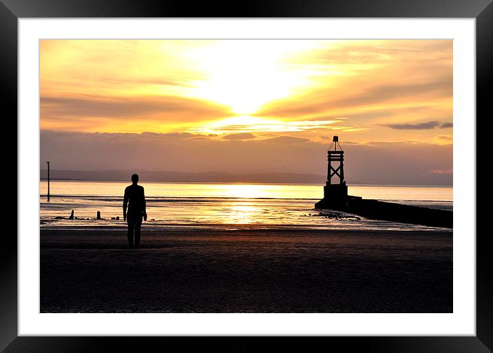 silhouettes  Framed Mounted Print by sue davies