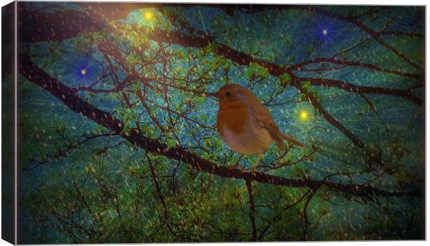  Night Shelter. Canvas Print by Heather Goodwin