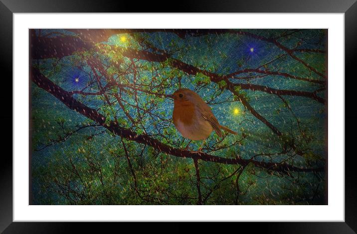  Night Shelter. Framed Mounted Print by Heather Goodwin