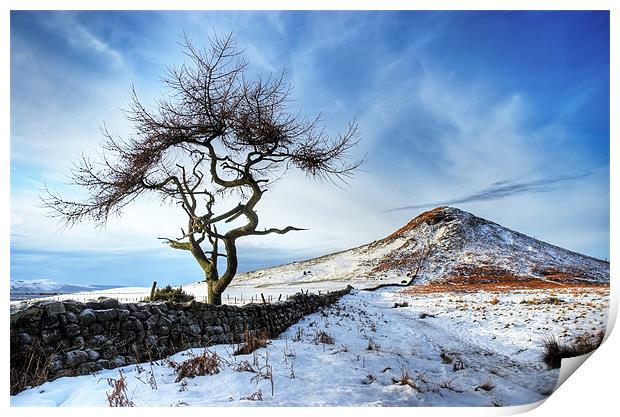 Winter at Roseberry Topping, North Yorkshire Print by Martin Williams