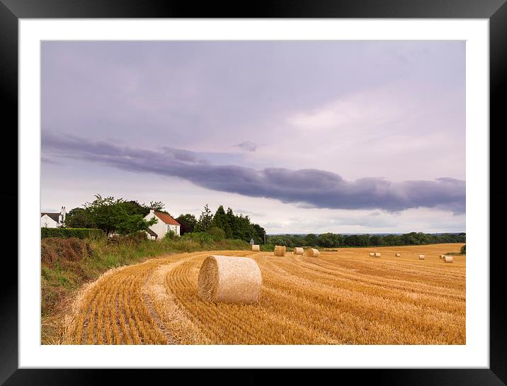 Straw bales   Framed Mounted Print by chris smith