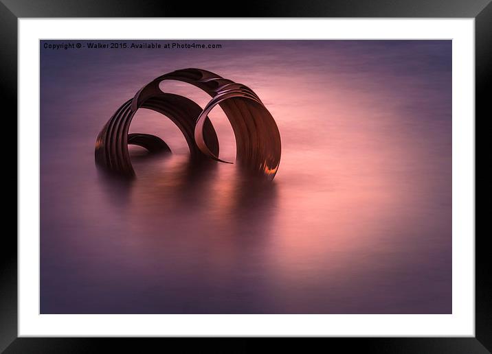  Mary's Shell Framed Mounted Print by - Walker