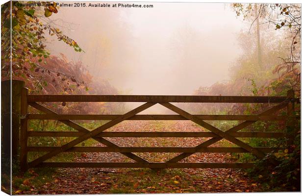  Beyond the Gate... Canvas Print by Kerry Palmer