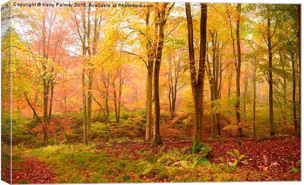  Palette of Autumn Colour Canvas Print by Kerry Palmer