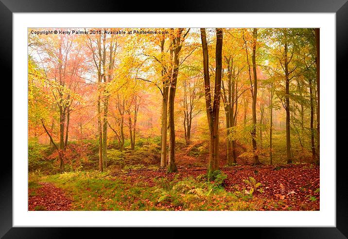  Palette of Autumn Colour Framed Mounted Print by Kerry Palmer
