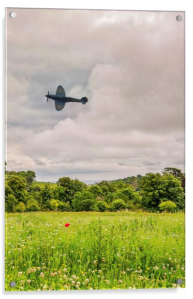  Spitfire Acrylic by David Martin