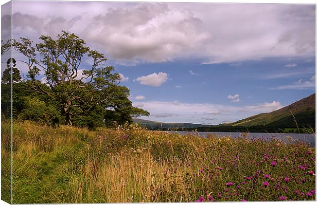 Bassenthwaite Lake. Cumbria Floods Appeal Canvas Print by Jacqi Elmslie