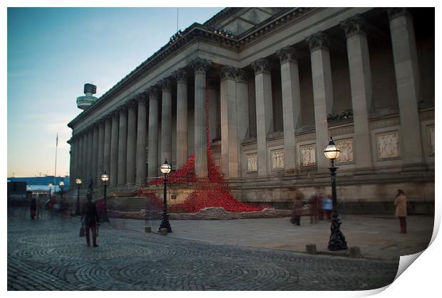  Poppies Print by James Harrison