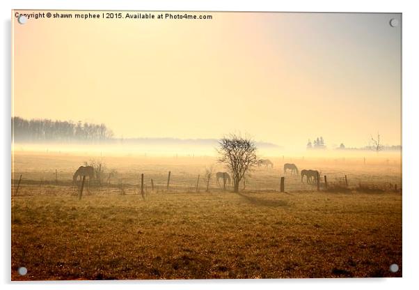  Misty morning on the farm Acrylic by shawn mcphee I