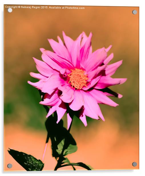  Sun Flower Acrylic by Nabaraj Regmi