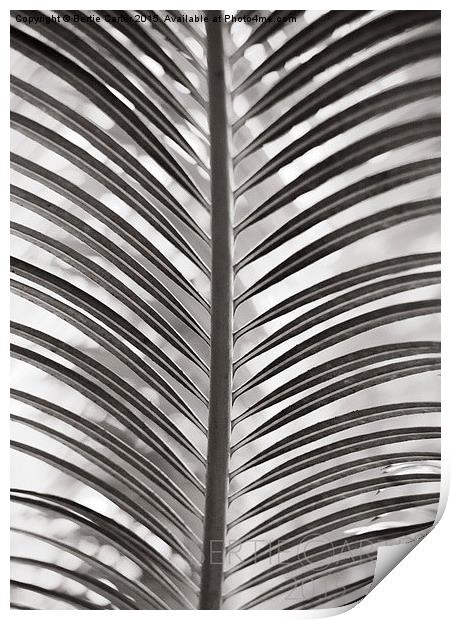  Monochrome leaves Print by Bertie Carter