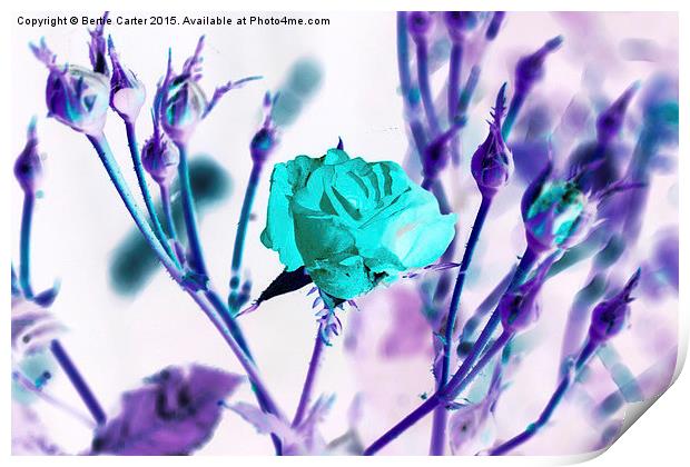 Abstract  rose Print by Bertie Carter