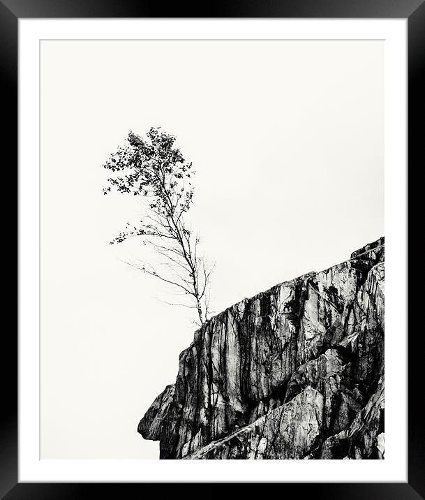  lone tree on the edge Framed Mounted Print by Stephen Giles