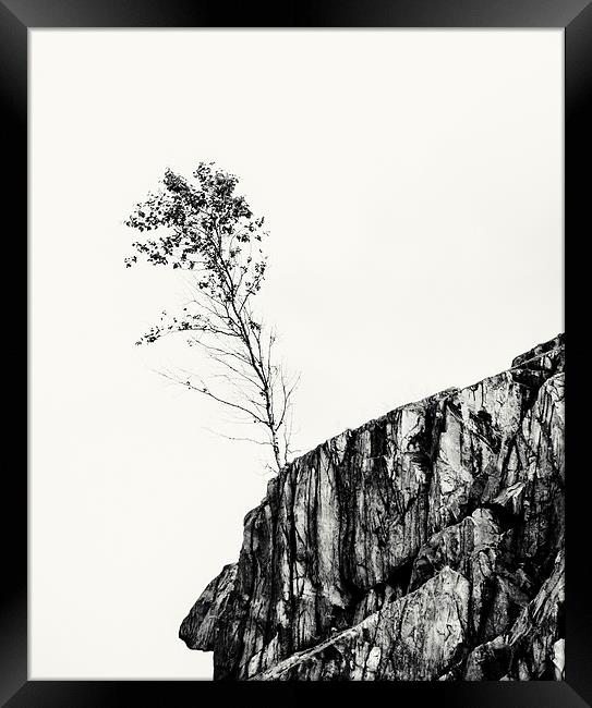  lone tree on the edge Framed Print by Stephen Giles